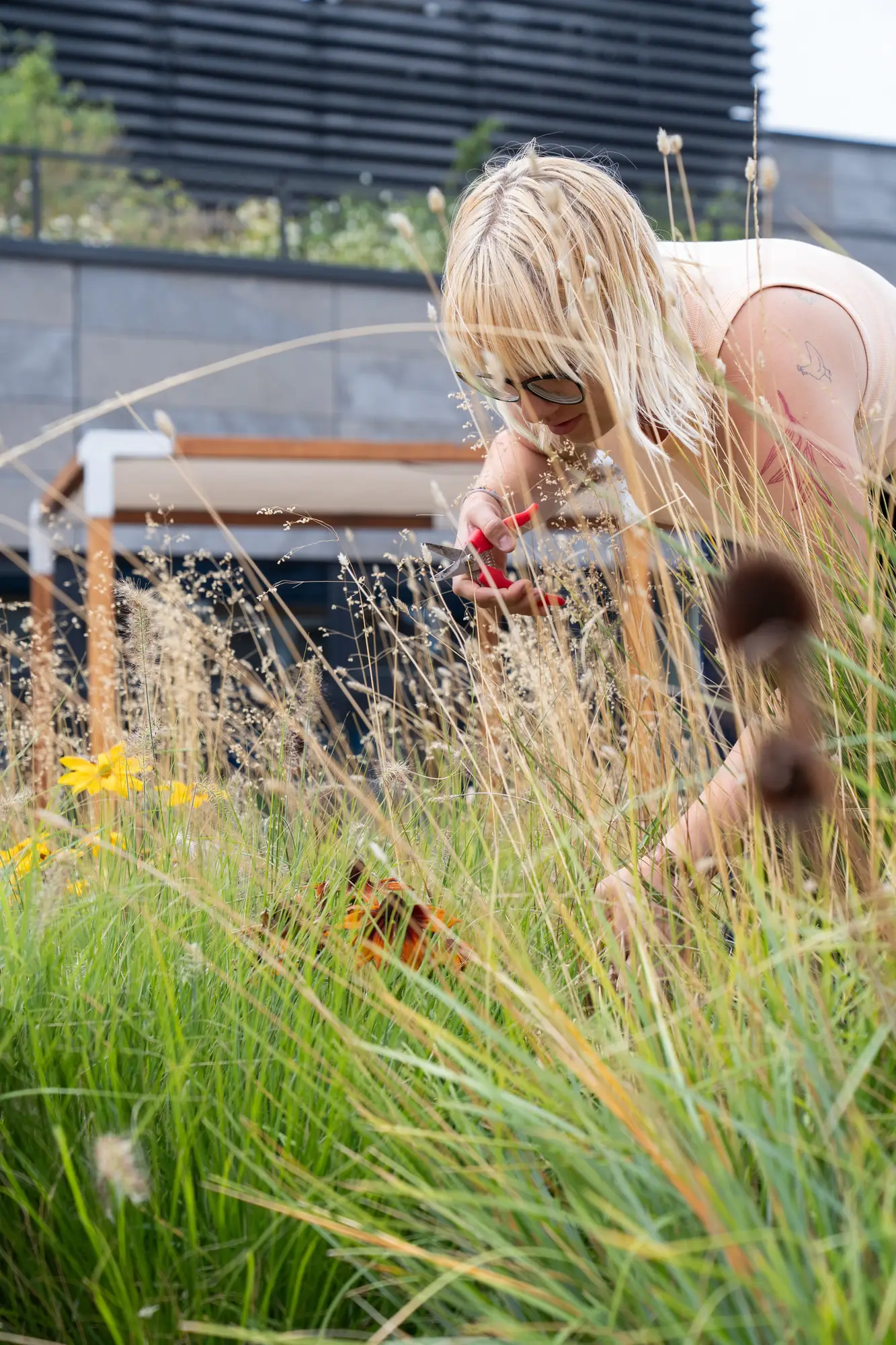 Začněme ještě dnes