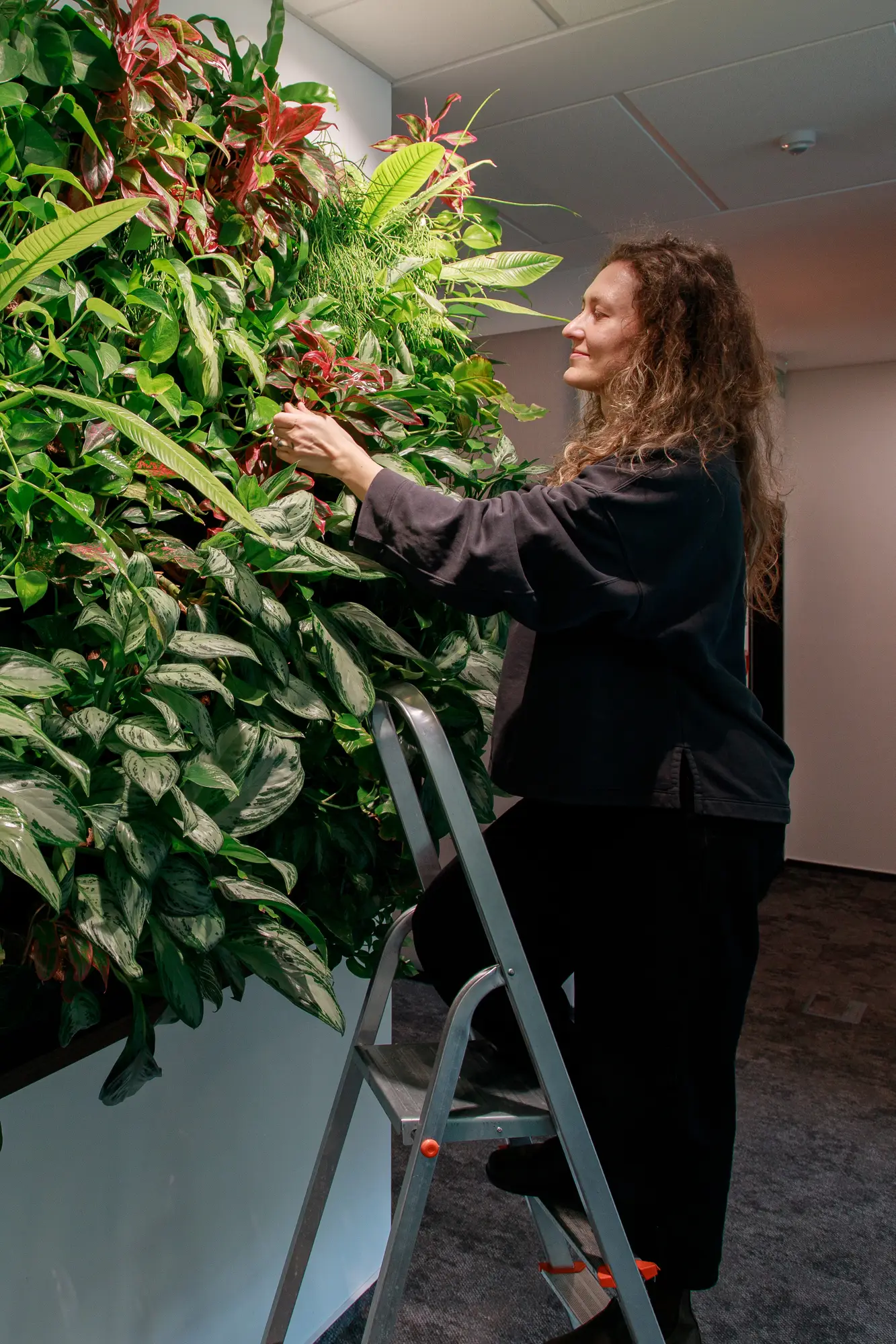 Od Kvítka až po Oásu