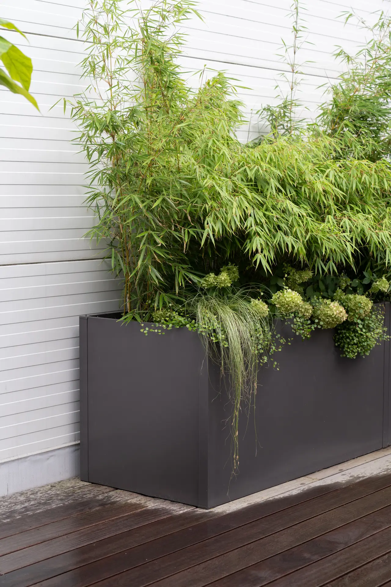 Slovenská sporiteľňa