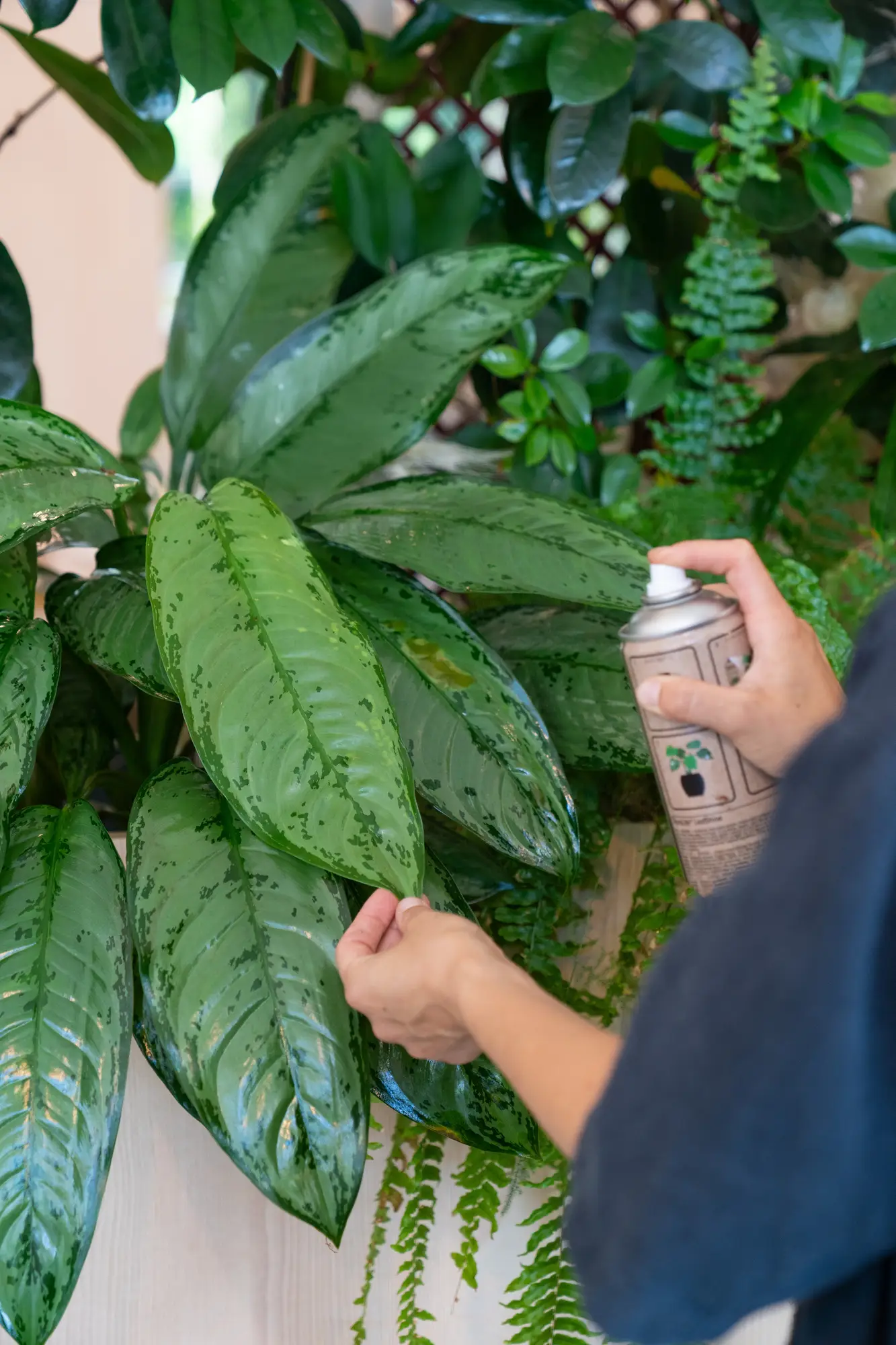 B2C podpora zákazníků